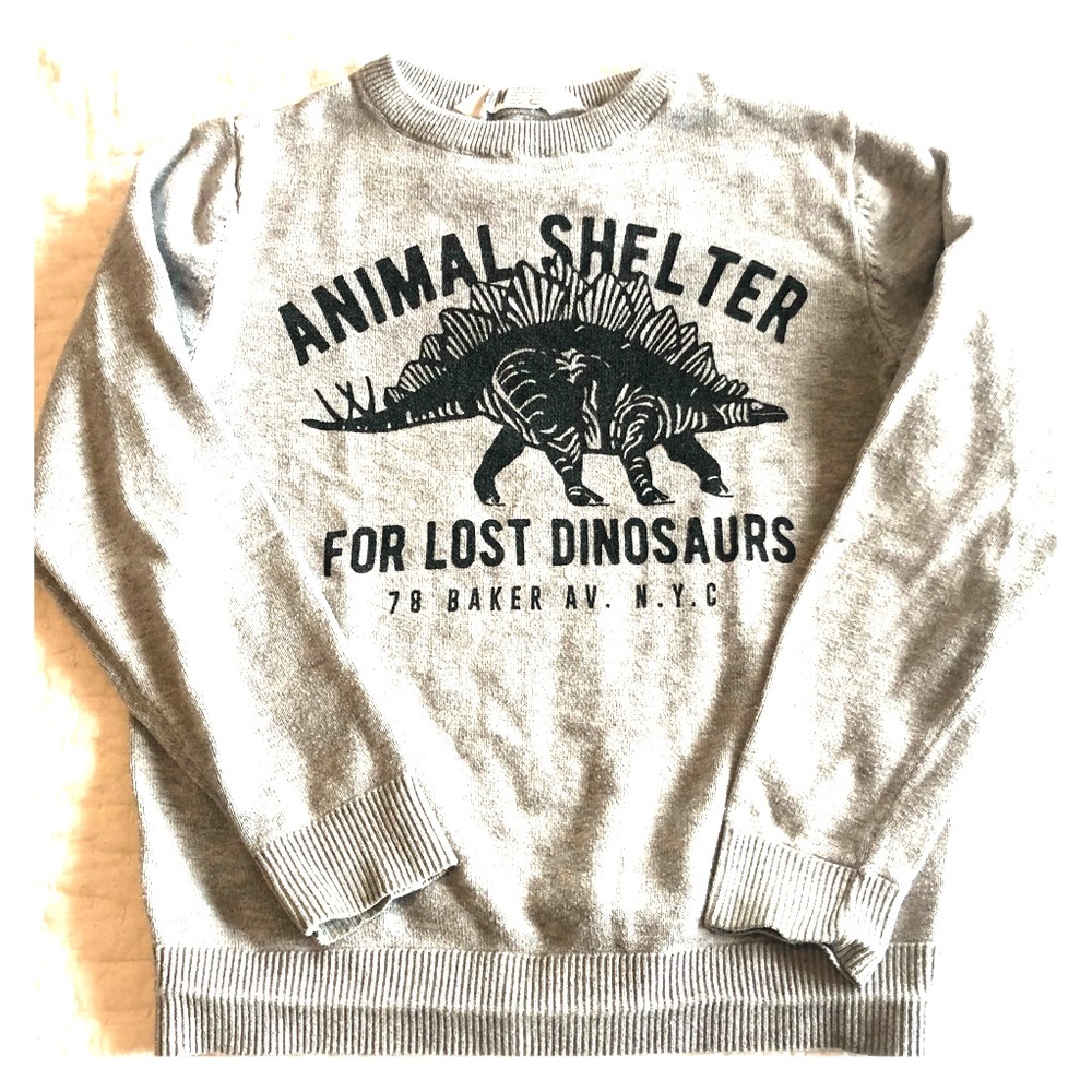 Boys Grey H&M Dino Sweater